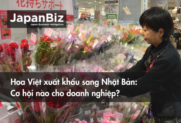 Hoa Việt xuất khẩu sang Nhật Bản Cơ hội nào cho doanh nghiệp