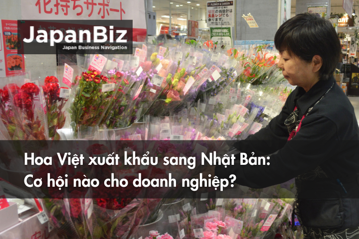 Hoa Việt xuất khẩu sang Nhật Bản Cơ hội nào cho doanh nghiệp