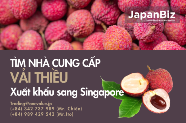 Tìm nhà cung cấp vải thiều xuất khẩu Singapore