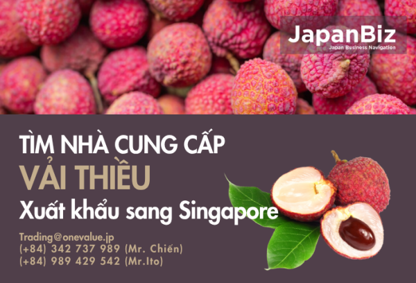Tìm nhà cung cấp vải thiều xuất khẩu Singapore