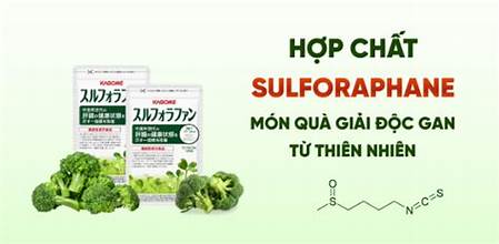 Sống năng động cùng Kagome Sulforaphane