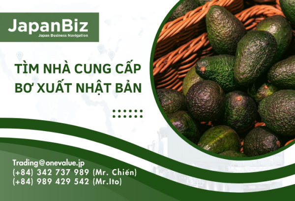 Tìm nhà cung cấp bơ xuất Nhật