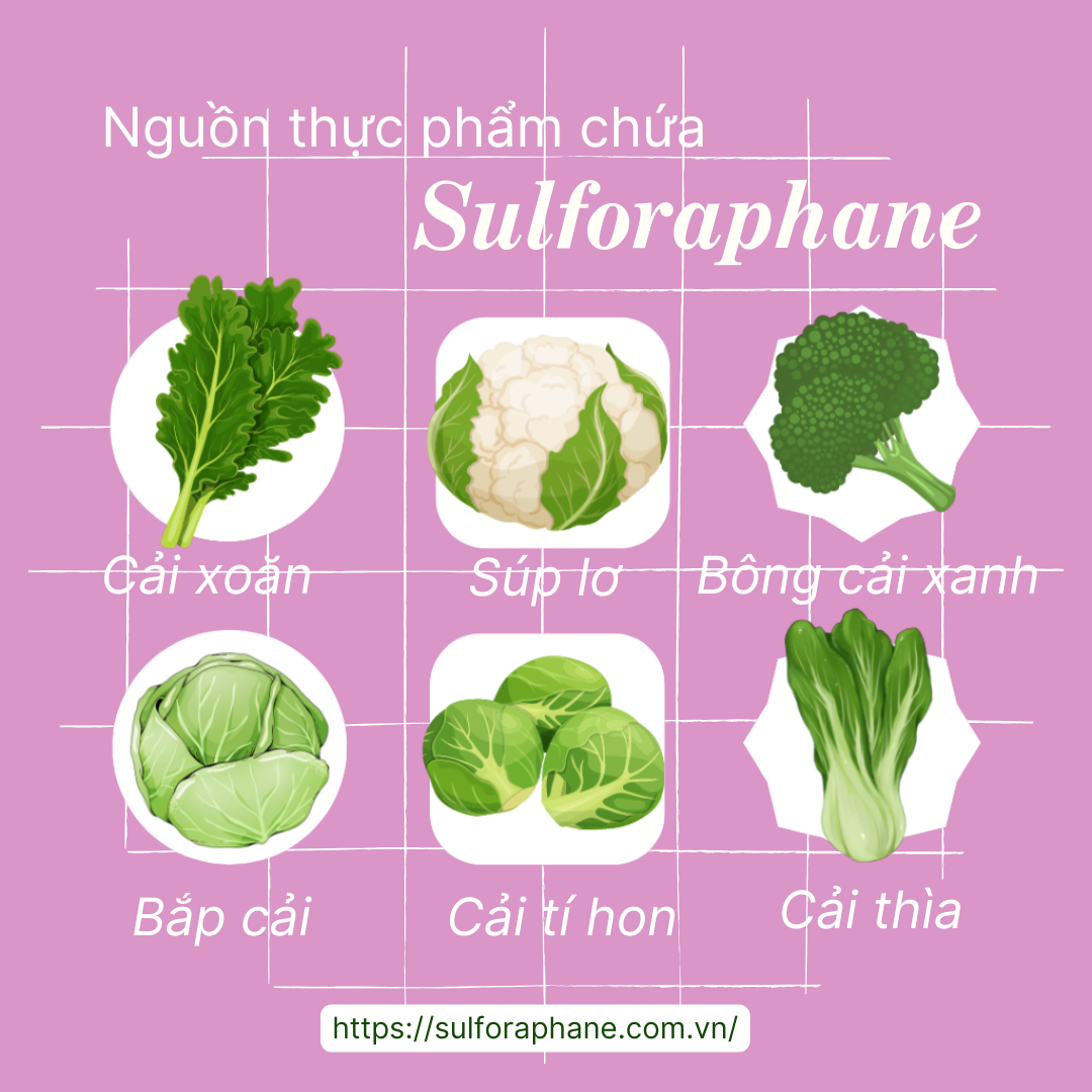 Cách bổ sung Sulforaphane hiệu quả