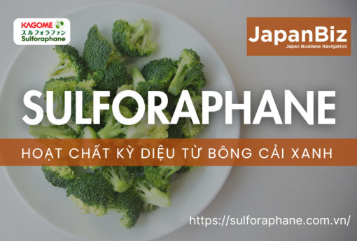 Sulforaphane – Hoạt chất kỳ diệu từ bông cải xanh