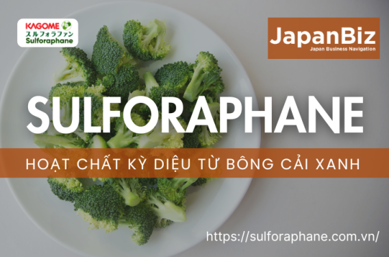 Sulforaphane – Hoạt chất kỳ diệu từ bông cải xanh