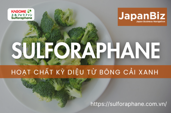 Sulforaphane – Hoạt chất kỳ diệu từ bông cải xanh