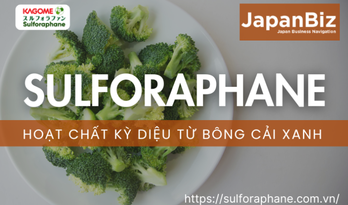 Sulforaphane – Hoạt chất kỳ diệu từ bông cải xanh