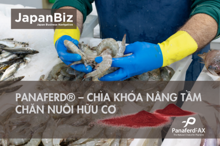 Panaferd® – Chìa khóa nâng tầm chăn nuôi hữu cơ