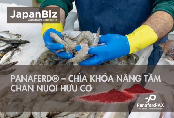 Panaferd® – Chìa khóa nâng tầm chăn nuôi hữu cơ