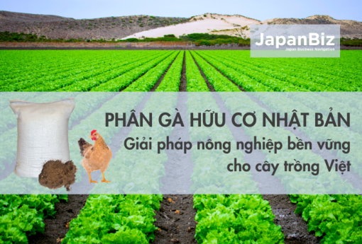 Phân gà hữu cơ Nhật Bản – Giải pháp nông nghiệp bền vững cho cây trồng Việt