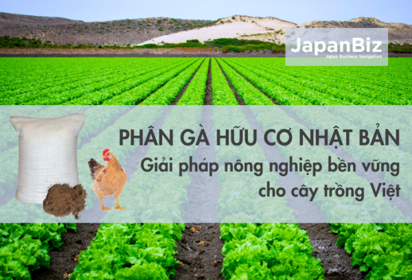 Phân gà hữu cơ Nhật Bản – Giải pháp nông nghiệp bền vững cho cây trồng Việt