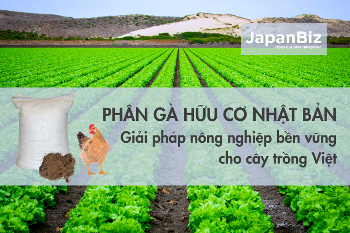 Phân gà hữu cơ Nhật Bản – Giải pháp nông nghiệp bền vững cho cây trồng Việt
