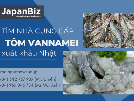 Tìm nhà cung cấp tôm vannamei xuất khẩu Nhật