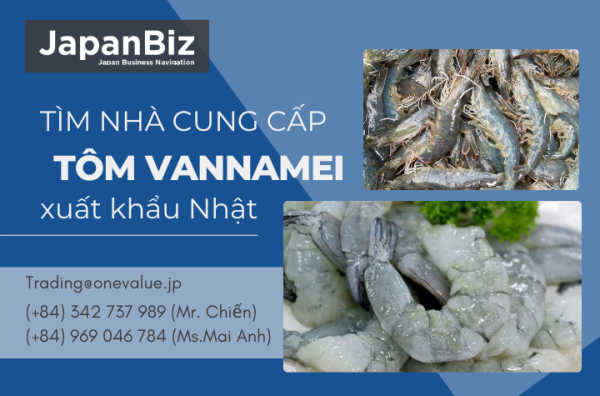 Tìm nhà cung cấp tôm vannamei xuất khẩu Nhật
