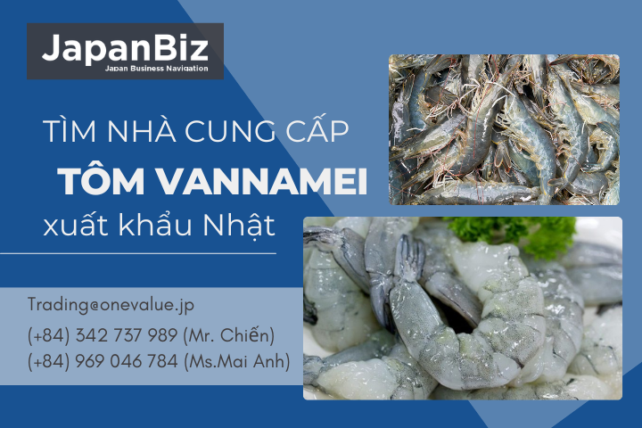 Tìm nhà cung cấp tôm vannamei xuất khẩu Nhật